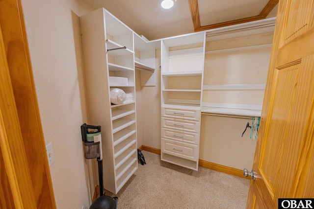102 Settlers Ln Lot 7R, Duck, NC 27949 - spacious closet with carpet flooring