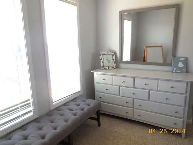 sitting room featuring carpet