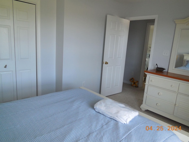 bedroom featuring light colored carpet and a closet