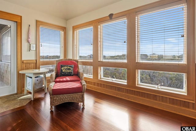 living area featuring wainscoting and dark wood-type flooring