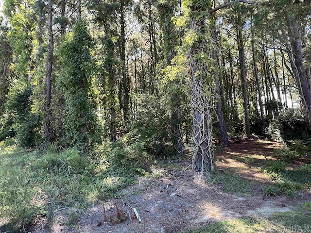 LOTS1, 2 Caratoke Hwy Lot 1, Grandy, NC 27939 - photo 3