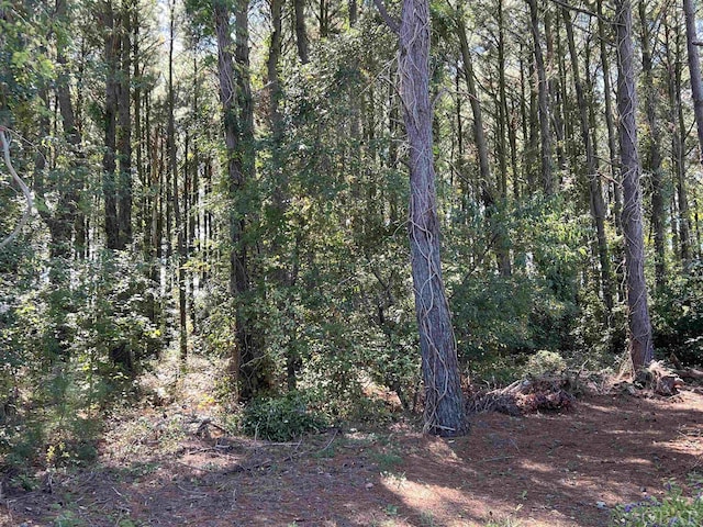 LOTS1, 2 Caratoke Hwy Lot 1, Grandy, NC 27939 - photo 1