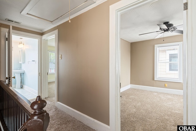 802 Second St, Elizabeth City, NC 27909 - photo 17