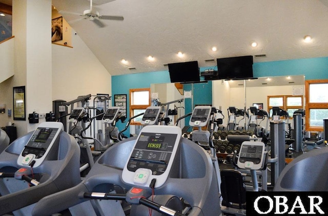 747 Hammock Ln Lot 55, Corolla, NC 27927 - exercise room with ceiling fan and high vaulted ceiling