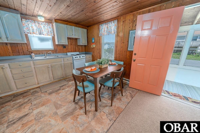 105 Rocky Mount St Lot 399, Kill Devil Hills, NC 27949 - dining room featuring wooden ceiling and wood walls