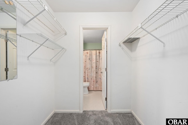 spacious closet with carpet flooring