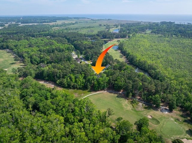 bird's eye view featuring a view of trees and a water view