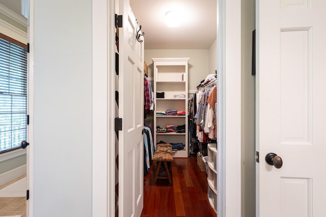 walk in closet with wood finished floors