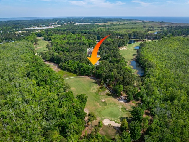 bird's eye view with a forest view and a water view