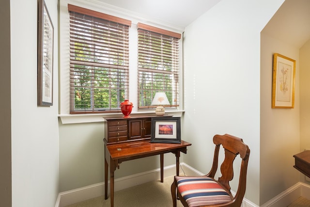 living area featuring baseboards