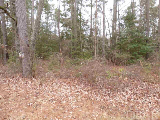 1503 Sac Trl Lot # 69, Edenton, NC 27932 - photo 1