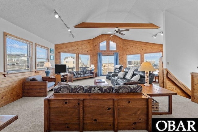 living room featuring a baseboard radiator, wood walls, plenty of natural light, and vaulted ceiling