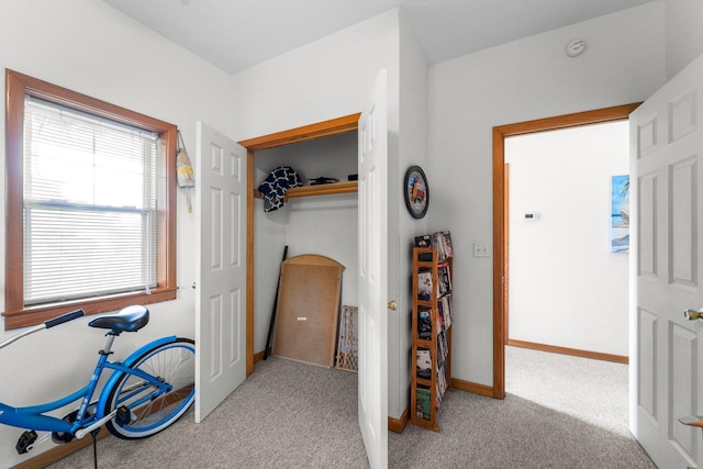 interior space featuring carpet floors, baseboards, and a closet