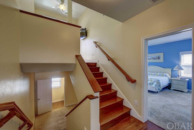 stairway with carpet floors, baseboards, and a ceiling fan