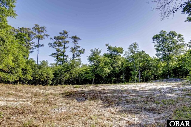 47203 Arrow Leaf Cir Lot # 47, Buxton, NC 27920 - photo 3