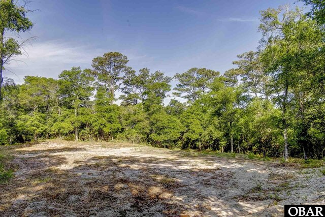 47203 Arrow Leaf Cir Lot # 47, Buxton, NC 27920 - photo 4