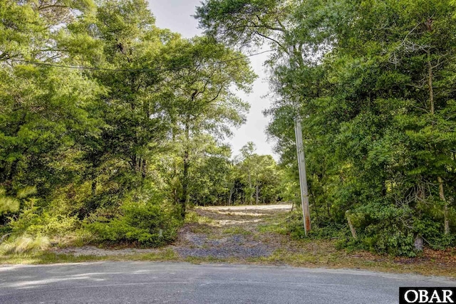 47203 Arrow Leaf Cir Lot # 47, Buxton, NC 27920 - photo 1