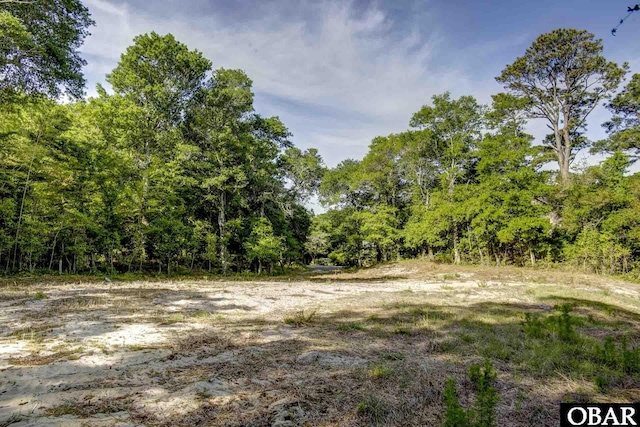 47203 Arrow Leaf Cir Lot # 47, Buxton, NC 27920 - photo 6