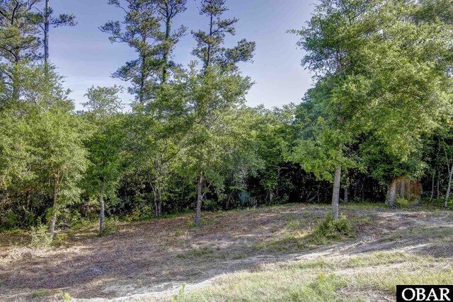 47203 Arrow Leaf Cir Lot # 47, Buxton, NC 27920 - photo 5