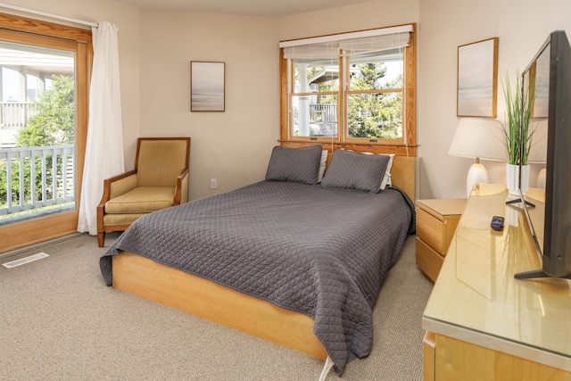 1229 Ocean Hill Ct Lot 120, Corolla, NC 27927 - carpeted bedroom with multiple windows