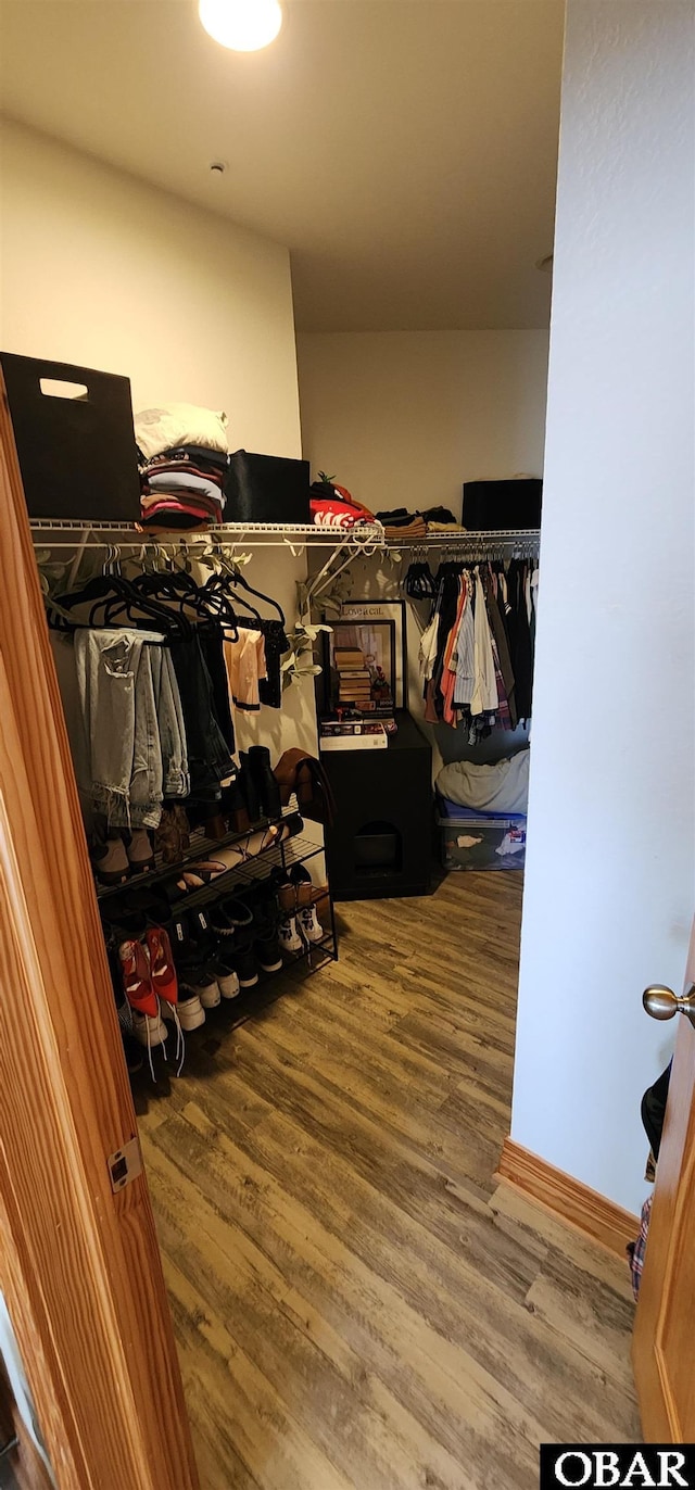 spacious closet with wood finished floors