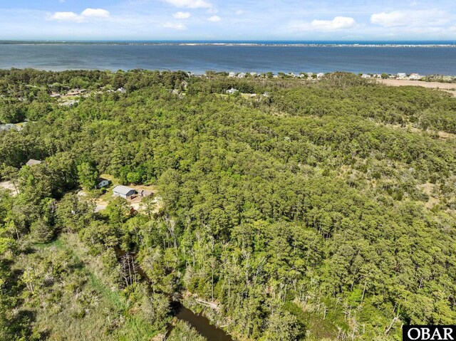 aerial view of a forest and a large body of water