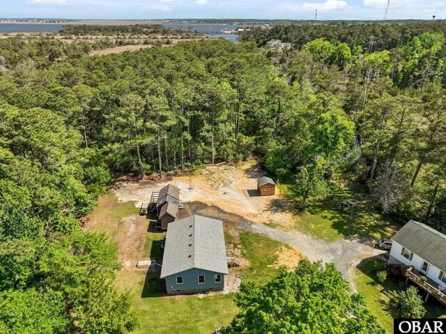 bird's eye view of a forest
