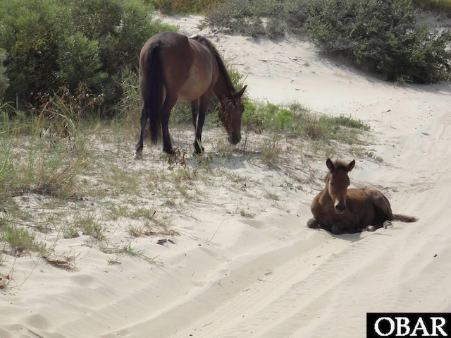 1634 Sandpiper Rd Lot 7, Corolla, NC 27927 - photo 43