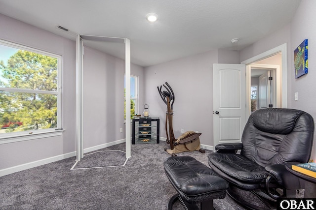 workout room with visible vents, baseboards, and carpet