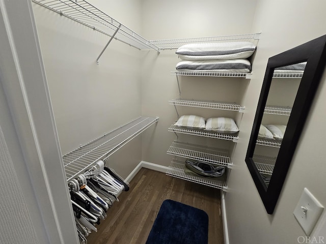 spacious closet featuring dark wood-type flooring