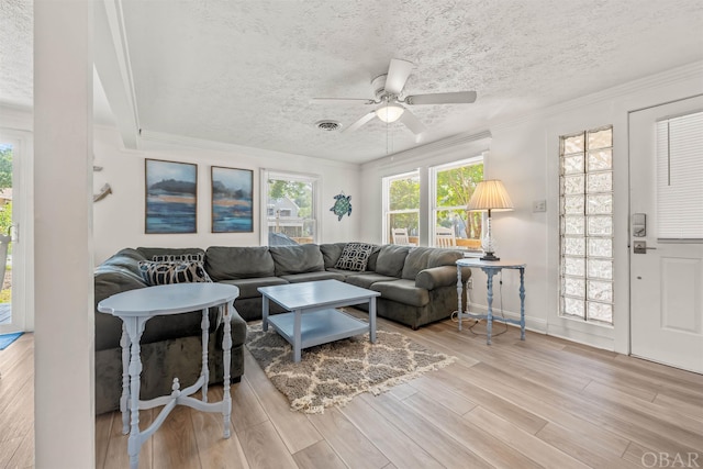 living room featuring visible vents, a ceiling fan, ornamental molding, a textured ceiling, and light wood-style floors