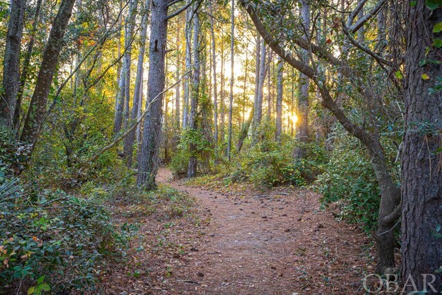 view of local wilderness featuring a forest view