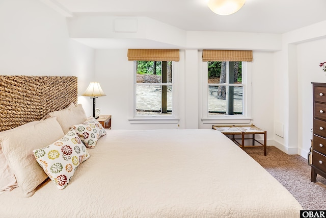 1127 Brumsey Ct Lot 324, Corolla, NC 27927 - bedroom with carpet floors