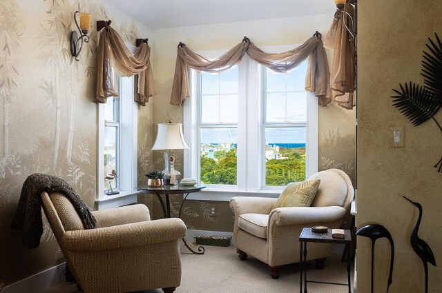 sitting room featuring carpet flooring