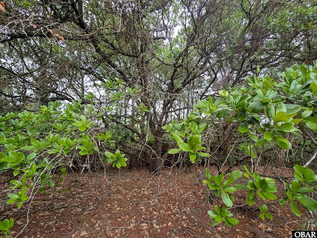 401 Red Snapper Ln Lot # 4, Corolla, NC 27927