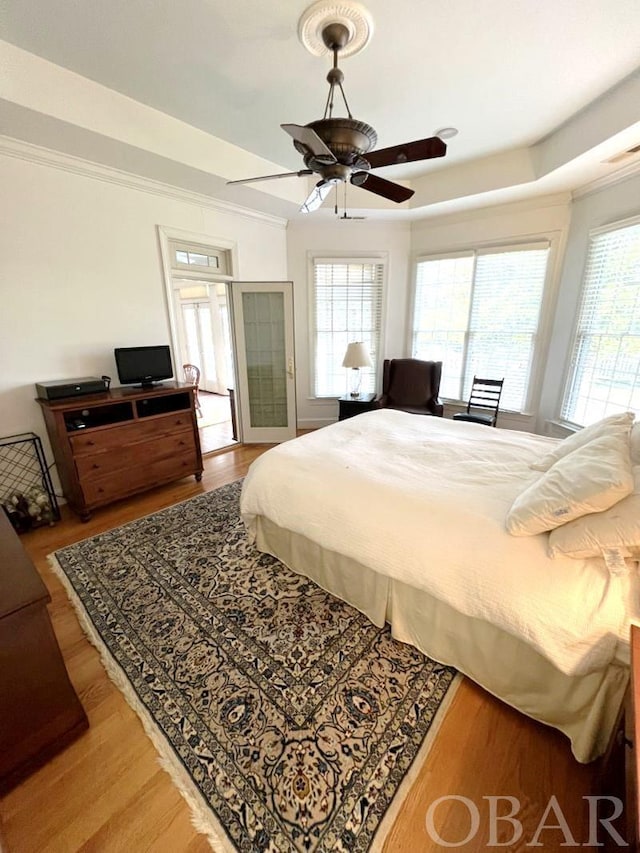 bedroom featuring ornamental molding, a raised ceiling, ceiling fan, and wood finished floors