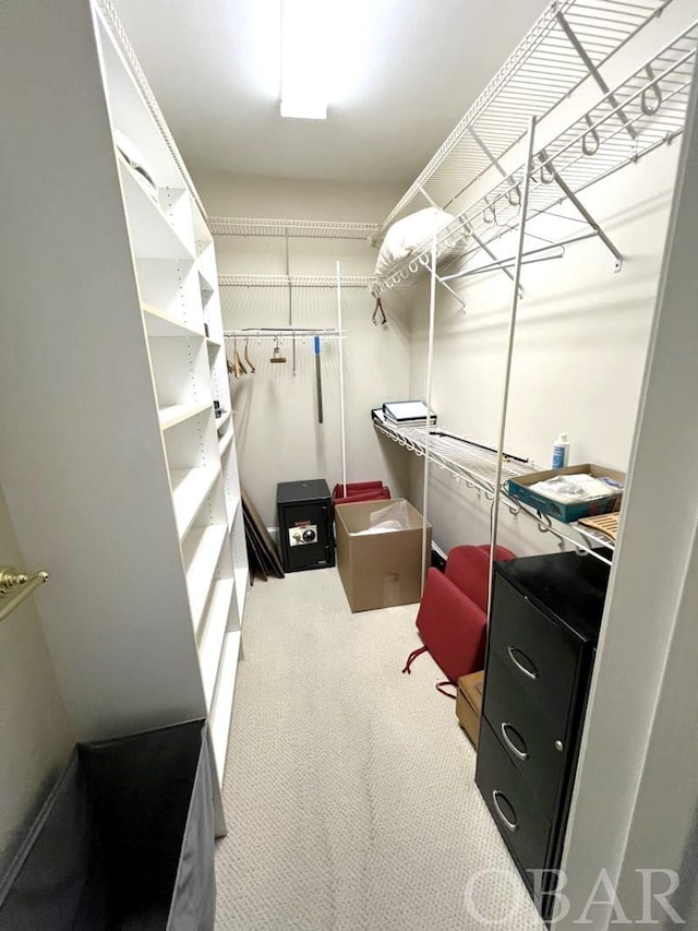 walk in closet with carpet floors