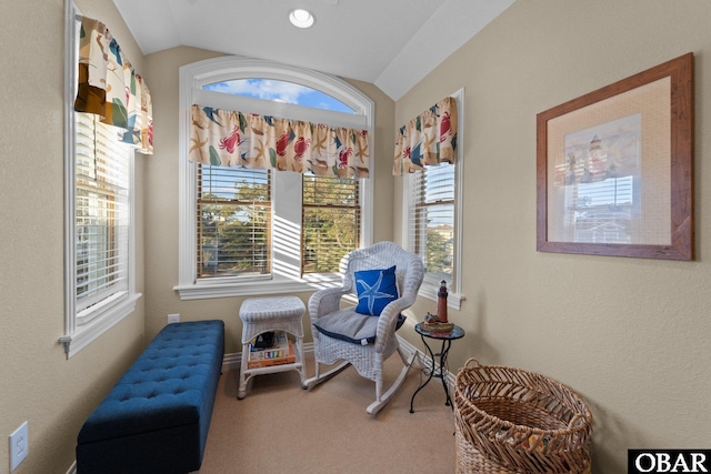 living area with carpet floors and vaulted ceiling