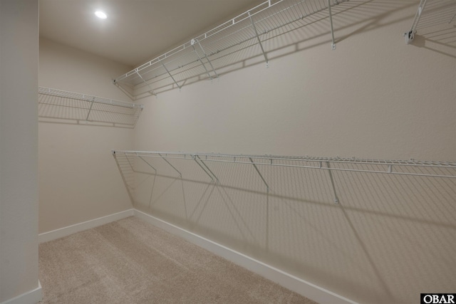 walk in closet with carpet flooring