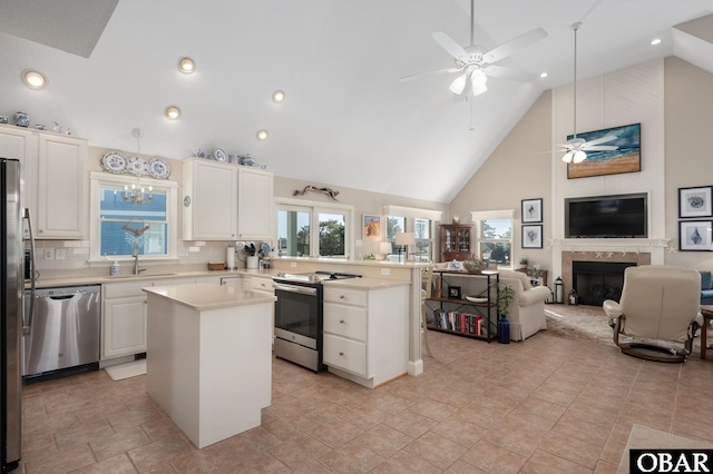 kitchen with a high end fireplace, open floor plan, a healthy amount of sunlight, and stainless steel appliances