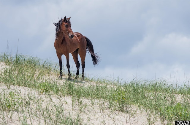 2170 Sandfiddler Rd Lot 12, Corolla, NC 27927