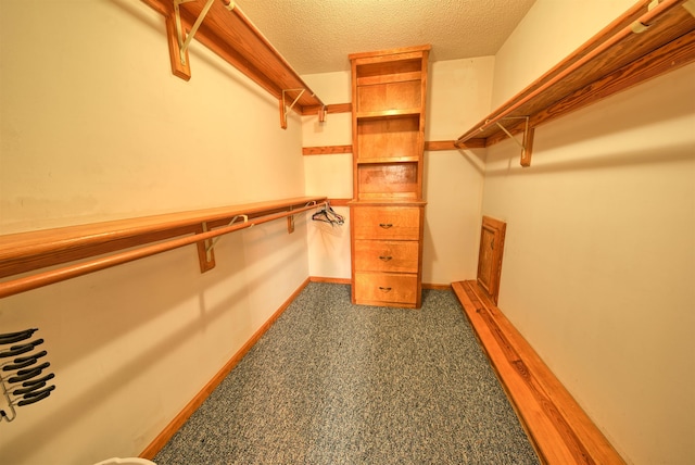 spacious closet featuring dark colored carpet