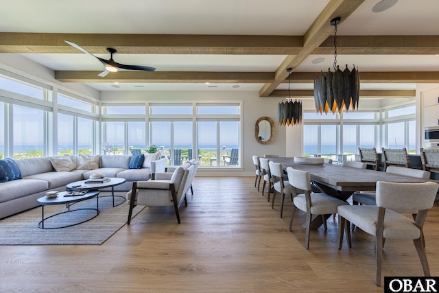 living area featuring light wood-style floors, a ceiling fan, and beamed ceiling