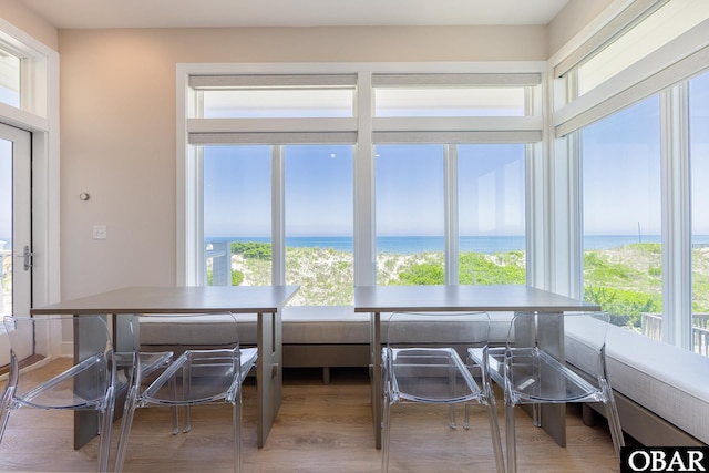 dining area with a water view, plenty of natural light, and light wood-style flooring