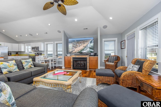 living area featuring vaulted ceiling, a fireplace, wood finished floors, and a wealth of natural light