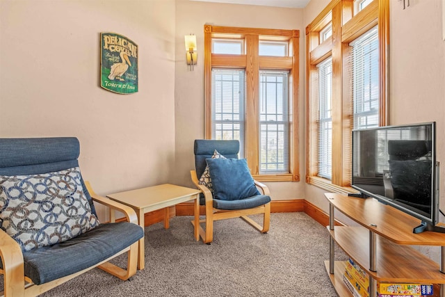 living area featuring carpet flooring and baseboards