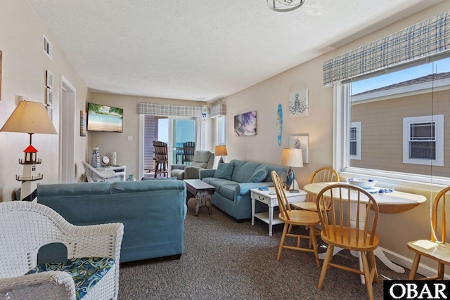 1401 N Virginia Dare Trl Unit # 5C, Kill Devil Hills, NC 27948 - living room with a textured ceiling, healthy amount of natural light, and carpet