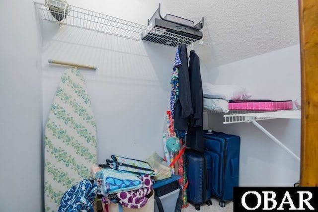 128 Daphne Ln Lot 17, Manteo, NC 27954 - view of walk in closet
