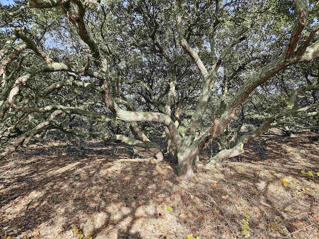 510 Albatross Ln Lot 117, Corolla, NC 27927
