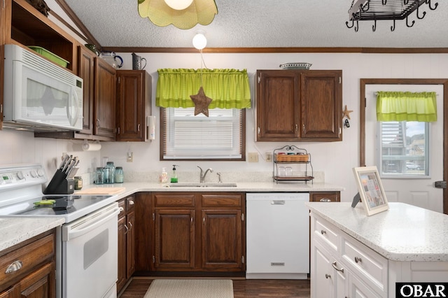 kitchen featuring crown molding, a sink, dark wood-type flooring, and white appliances